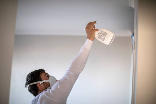 Best Affordable Mold Removal  in Basye, VA