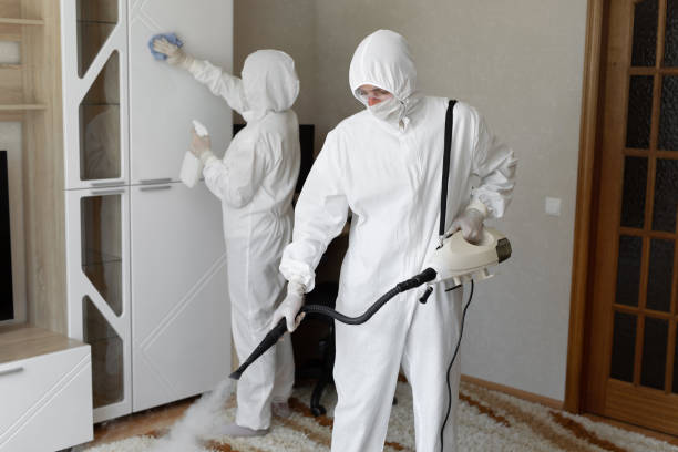 Best Residential Mold Removal  in Basye, VA